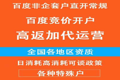 成功运用SEM服务实现品牌快速成长的案例